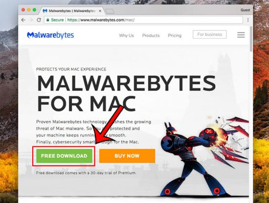 piratebay malwarebytes for mac